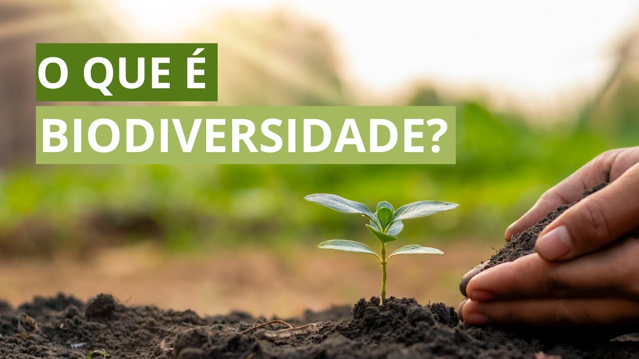 O que é BIODIVERSIDADE? | Importância da Ciência na conservação das espécies e seus habitats