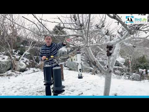 Hur räknar du dina matgäster?