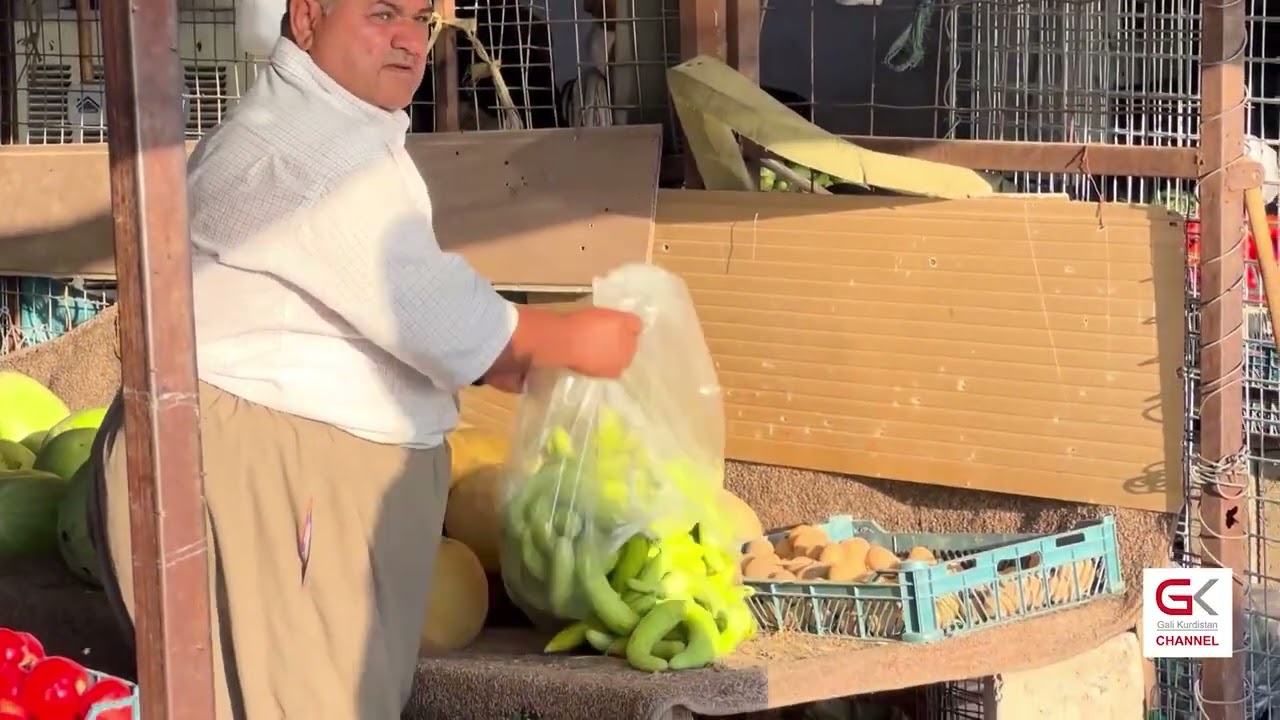 ڤیدیۆ | جوتیارانی دەشتی ناوكوڕ دەستیان بە دوورینەوەی گەنم كردووە