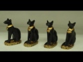 Gatos VS Gatos Negros -Algunos Mitos y Curiosidades