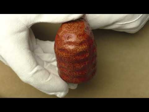 Viprati Sabbiata Extra - pipe 200