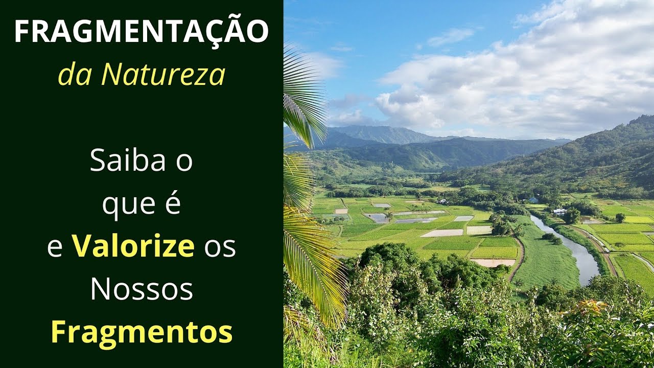 Entenda a Fragmentação