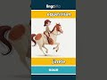 equestrian - jinete video thumbnail