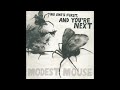 Modest Mouse - King Rat