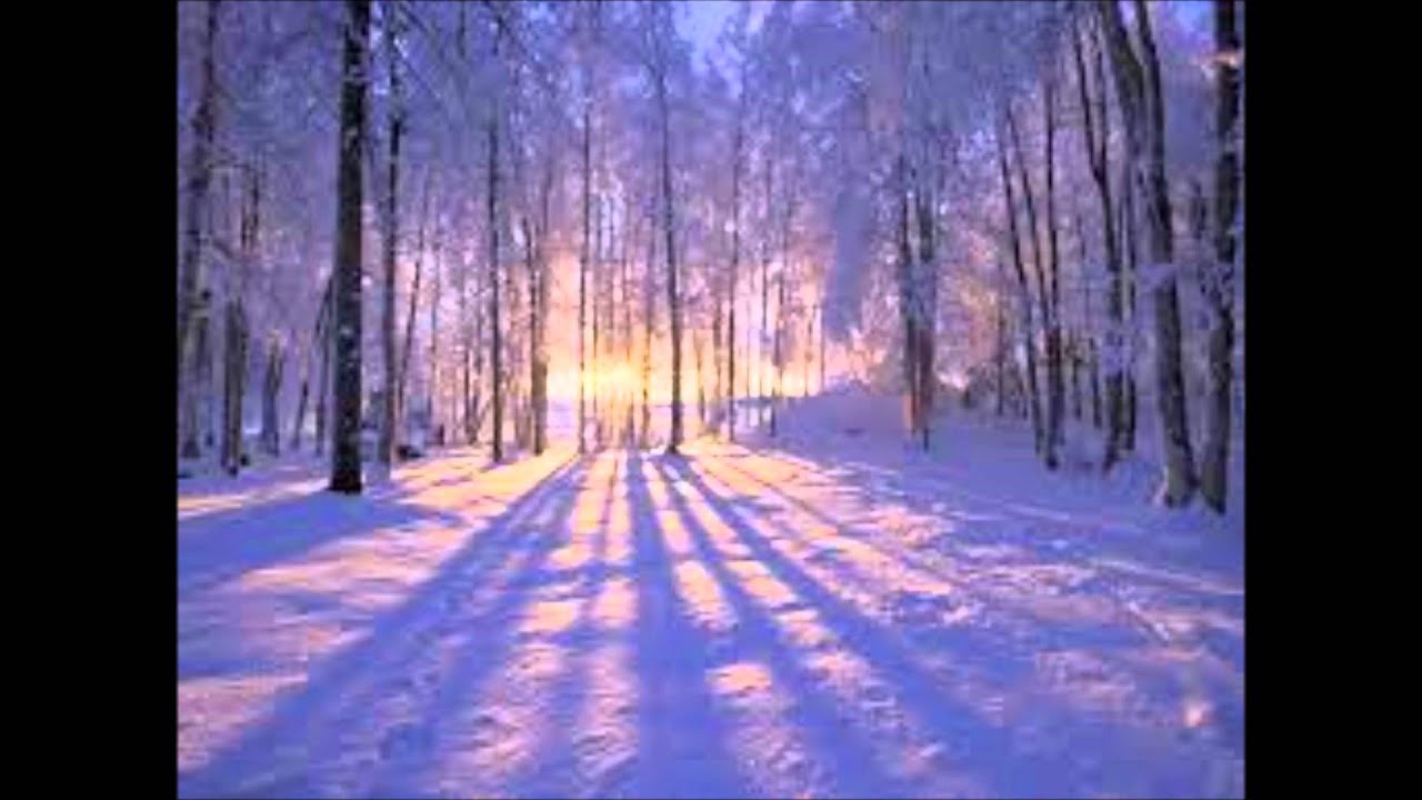 Bradley-Fulgoni plays Mario Fulgoni Breve Studio  No.7