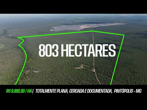 Oportunidade em Pintópolis – MG: 803 ha para Agropecuária e Energia Renovável a R$ 9.000/há
