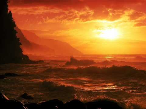 Back in the Sun [Saint Rush Remix] - Amex