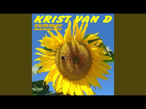 Summer Memories (Mk Schulz Club Remix)