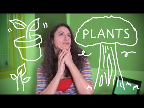 Weekly Italian Words with Ilaria - Plants