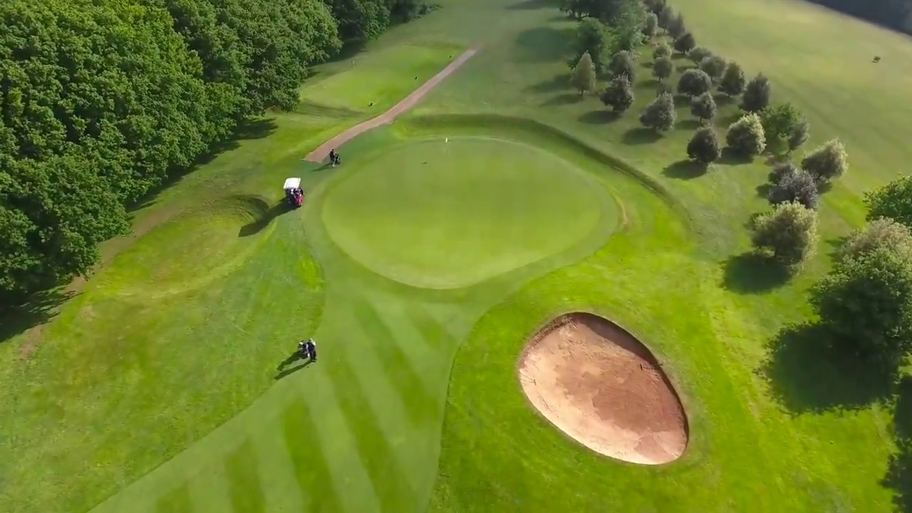 The Cart Guy Golf Carts Plus That is Perfect for you