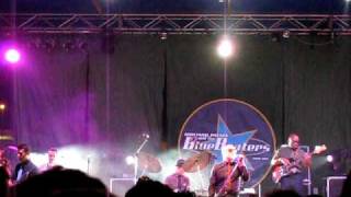 Giuliano Palma & The Bluebeaters - (Live) Se Ne Dicon di Parole