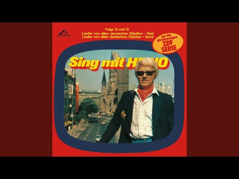 Ich Hab Mein Herz In Heidelberg Verloren - Heino