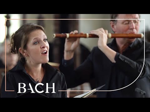Bach - Aus Liebe from St Matthew Passion BWV 244 | Netherlands Bach Society