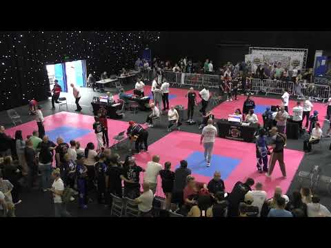 TATAMI WORLDS MATTS 1 2 7 8 PART 2