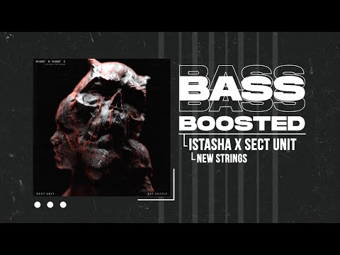 ISTASHA X SECT UNIT - NEW STRINGS (BASS BOOSTED)