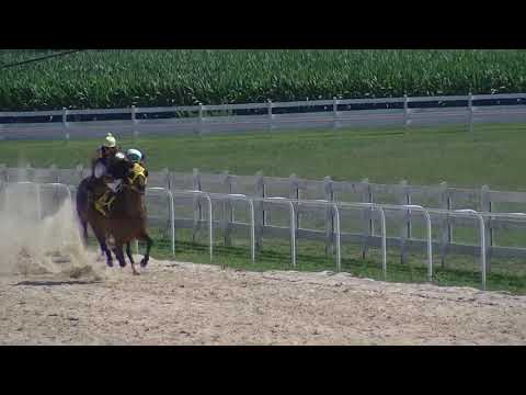 La Celia Cruz vs  D Block  7 9 17