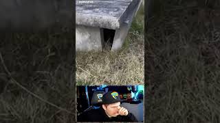 Paluten erschreckt sich SCHON wieder...