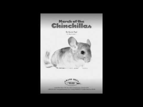 March of the Chinchillas