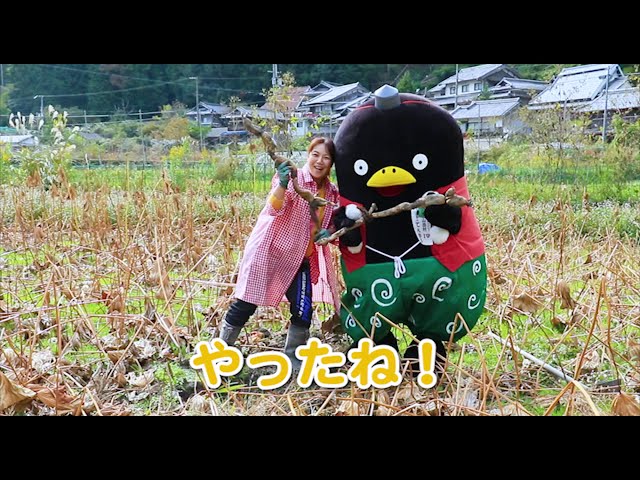 自然派農場　しもかわ