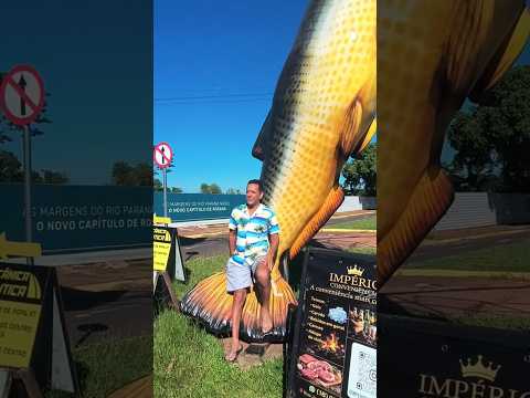 Entrada do Balneário de Rosana em Rosana estado de São Paulo #praia #jurereinternacional #nature