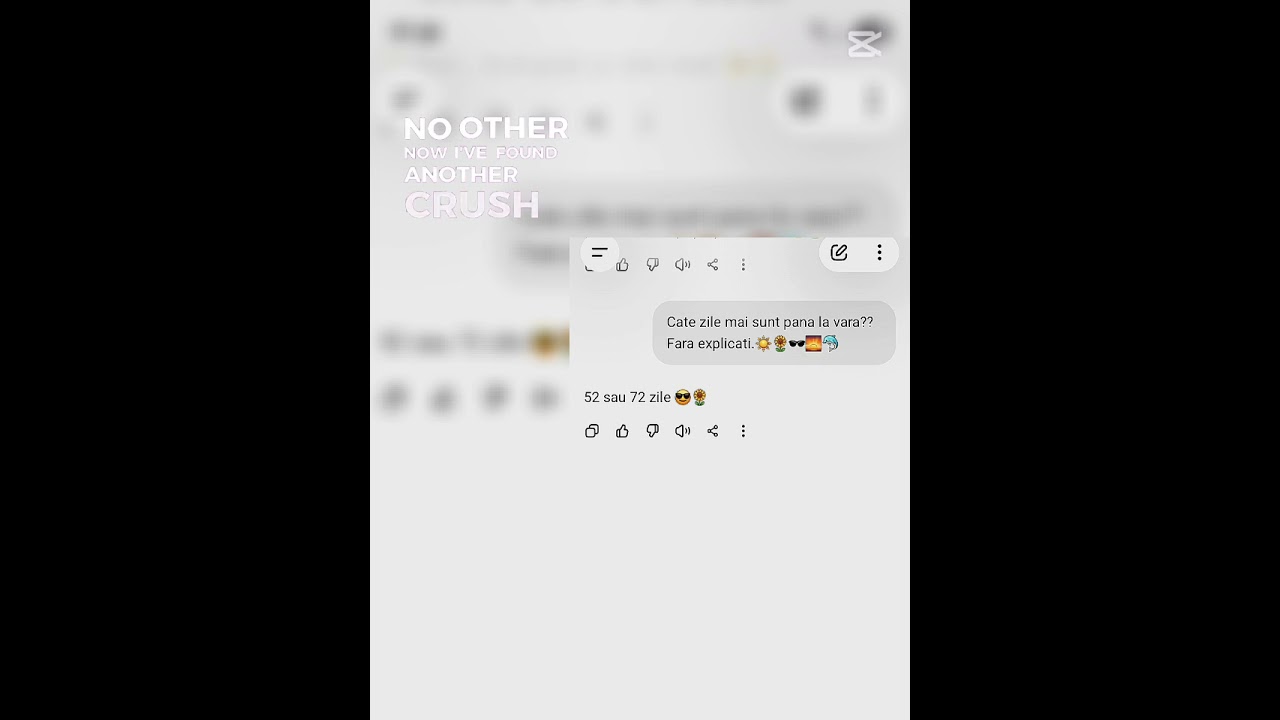 vine vara baaa🌅🐬😎😎