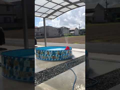 arrière-cour-terrasse-bois-jardin-bassin-cascade