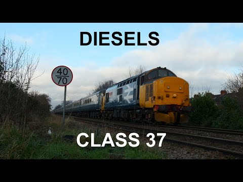 Diesels: Class 37