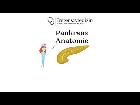 Pankreas Anatomie