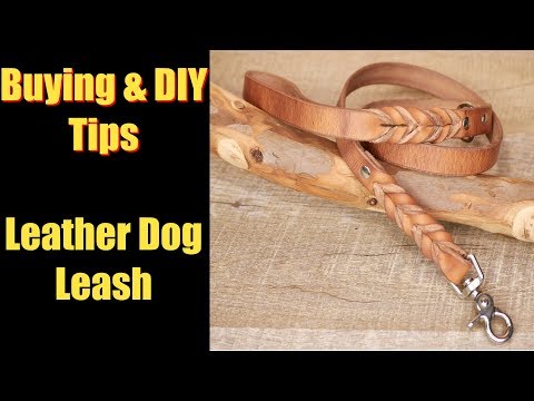 download lagu mp3 mp4 Brown Leather Dog Harness, download lagu Brown Leather Dog Harness gratis, unduh video klip Brown Leather Dog Harness