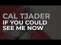 Cal Tjader - If You Could See Me Now (Official Audio)