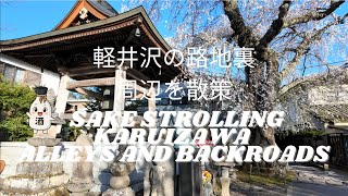 Exploring Karuizawa🚶‍♂️| Walking Old Ginza Street & Resort Town Backroads | Spring 2025 Japan 🌸