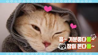 샴푸ㆍ린스ㆍ비누