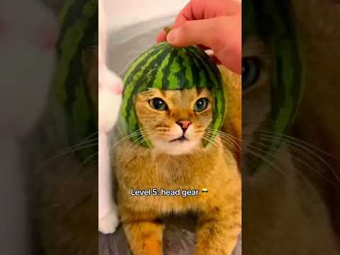 Quelle est votre armure préférée ?