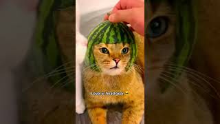 Quelle est votre armure préférée ?