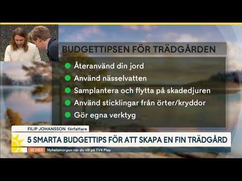 Budgettips på Nyhetsmorgon