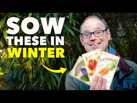 これらの種は1月に蒔かなければなりません