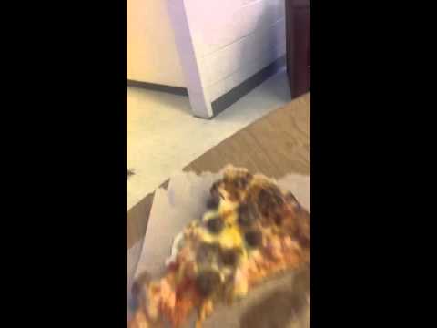 Marc miles vlog day 12