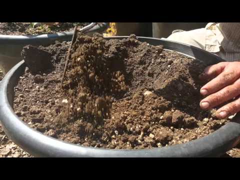DIY Simple Self Watering Pot with Clay Pot Irrigation