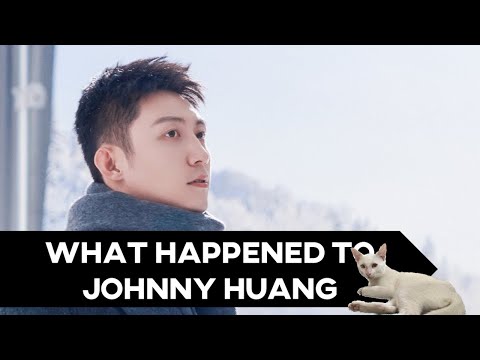 Johnny Huang Jingyu and Ex-Wife Debacle That's Been Going on for Years