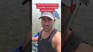 מושטים טעימים מאד בטיגון מהים לצלחת