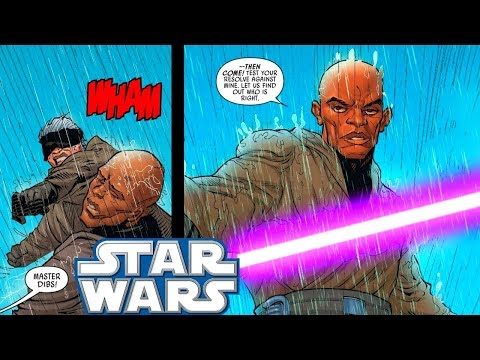 Why Mace Windu Was PUNCHED By Another Jedi(CANON) - Star Wars Comics Explained