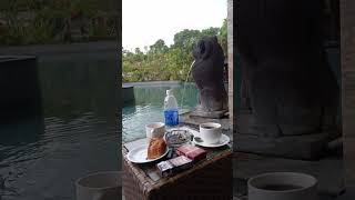 Download lagu THE SINGHOSARI RESORT MALANG mp3 Download lagu THE SINGHOSARI RESORT MALANG mp3