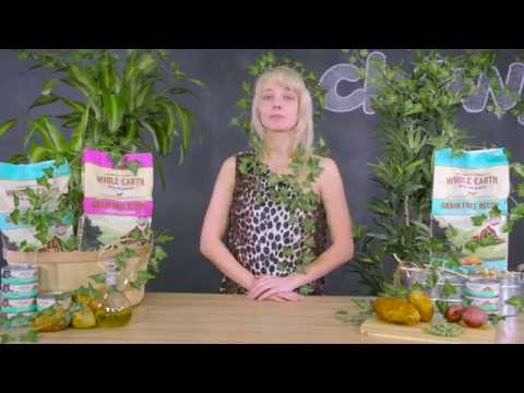 Merrick Whole Earth Farms Cat Food | Chewy