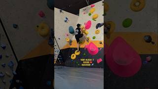 ?? 하노이 비엣클라임 Hanoi VietClimb ??‍♂️ 18.MAR.26 HANOI VIETNAM ✈…