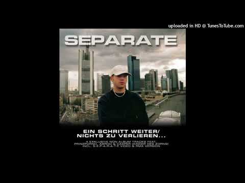 Separate - Nichts zu verlieren (feat. Prinz Porno)