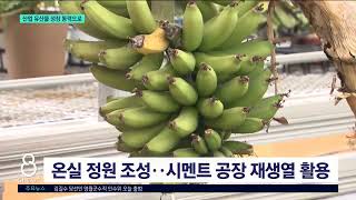 [G1뉴스]시멘트·항만 유산 활용..도시재생 박차