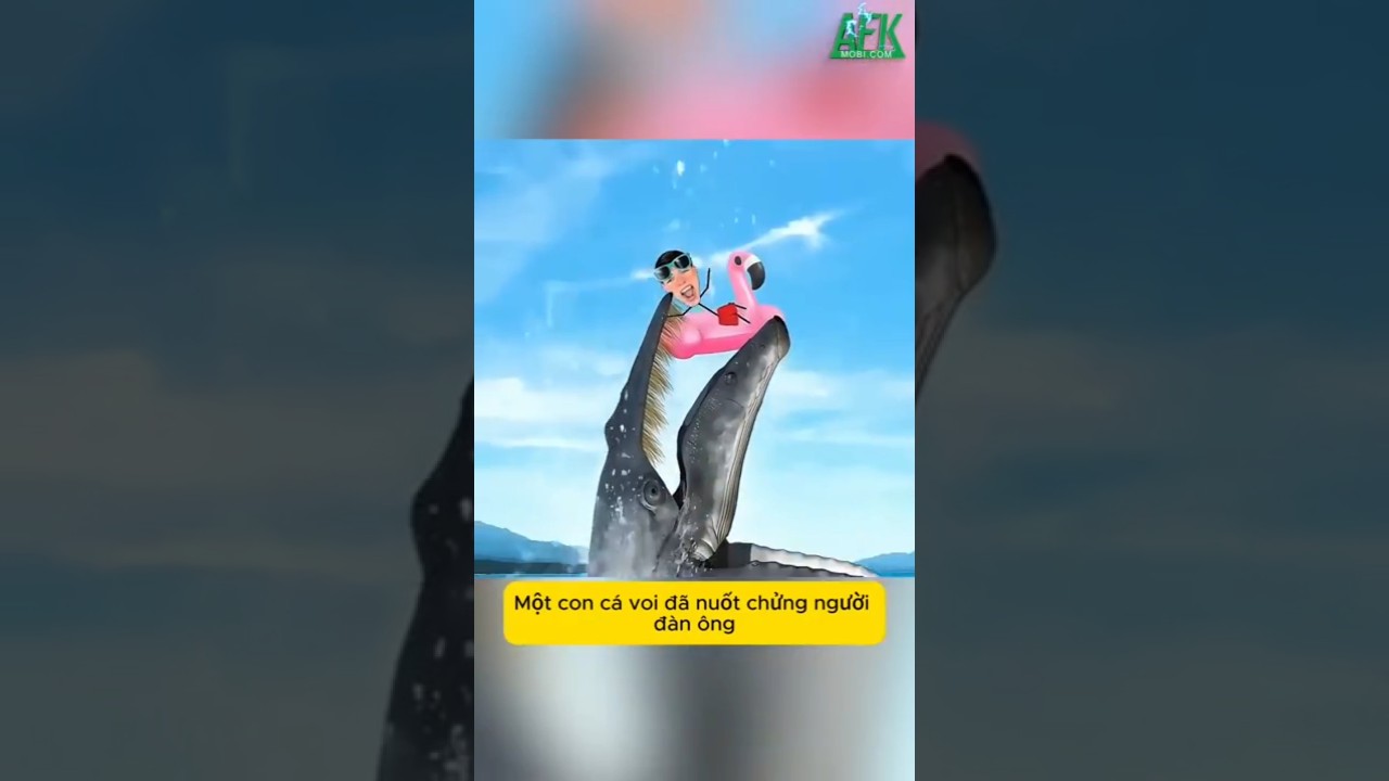Một con cá voi đã nuốt chửng người đàn ông