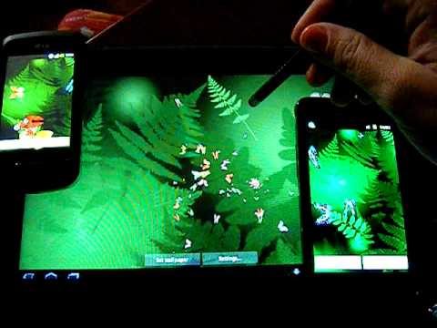 Butterfly Live Wallpaper Video