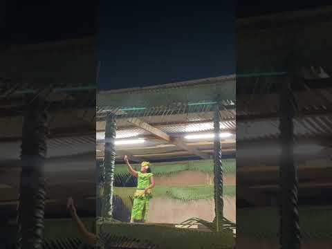 TOP 2022 - GLEN FUTUNA / Toku Kaiga by Ally NIULIKI