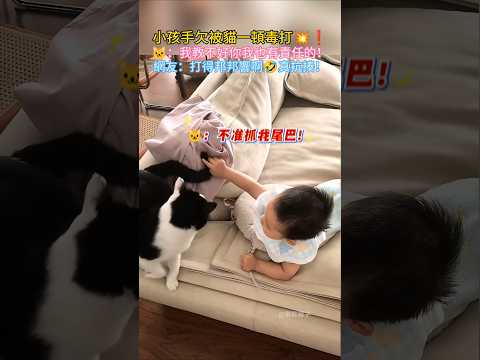 小孩手欠被貓一頓毒打💥❗ 🐱：不准抓我尾巴💢打打打❗ 網友：邦邦拳好響🤣太抗揍了🤣 #cat #cute #funny #funnyshorts #shorts
